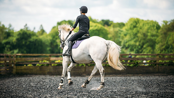 Saddle And Spa